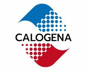 Calogena demande l'homologation de sa chaudière nucléaire