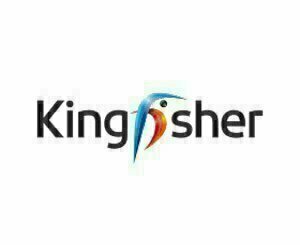 Kingfisher révise légèrement à la baisse ses objectifs annuels