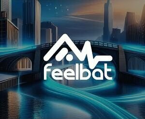 Feelbat L'application pour le conseil et le suivi de vos fissures de structures