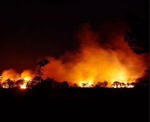 Rescapée des flammes, une maison anti-incendies offre des leçons pour reconstruire Los Angeles