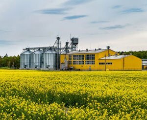 Le biofioul pour le chauffage individuel a-t-il un avenir sur le marché français ?