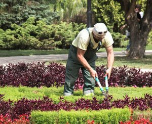 Les jardiniers et paysagistes profitent des efforts de la transition écologique