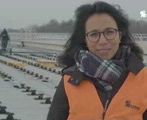 Toiture photovoltaïque : l’expertise Soprema Entreprises, de l’étude à la maintenance