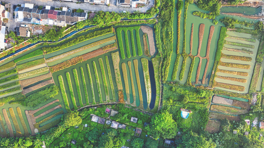 © Haut-commissariat à la Stratégie et au Plan