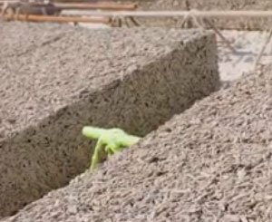 #JEC2025 - Show-room de l'Industrie du Béton : Dalles biosourcés Woodlite, Rector Lesage