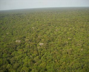 Déforestation au Brésil : la justice rétablit un moratoire sur le soja