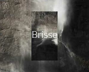 Collection Brisse