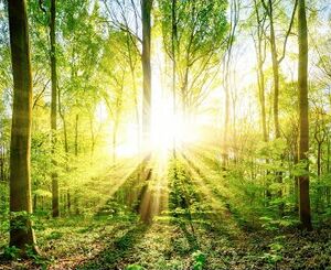 LumiNature by Sylvania - Le véritable éclairage centré sur l'humain