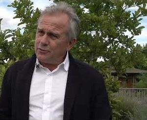 Les plantes des toitures végétales grillent pendant la canicule ? FAUX !!!