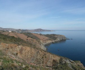 Dans le golfe du Lion, étudier les oiseaux migrateurs face aux projets d'éoliennes