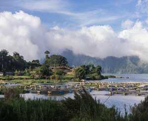 Bali fait les frais du développement touristique effréné