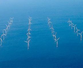 Les groupes Equinor et SSE retenus pour le plus grand champ d'éoliennes...