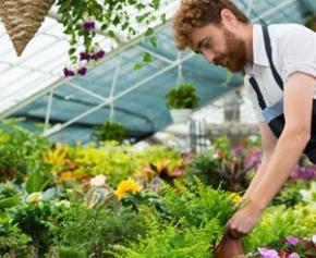 The garden market breaks growth records