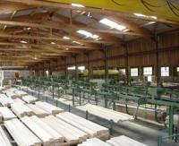 Les industriels du bois veulent limiter les exportations de chênes vers la Chine pour "sauver" les scieries françaises