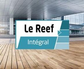 The Reef Integral: a reliable, complete, useful and recognized service