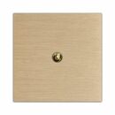 High-end bespoke switch in brushed brass