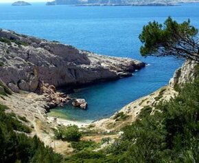 Suspended prison sentence for the dumping of waste in the Calanques of...