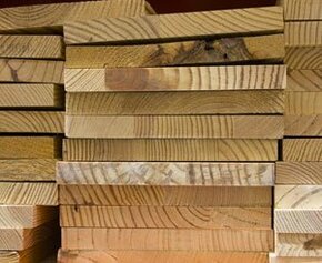 Wood, the “gold medal” of materials for the Paris 2024 Olympic Games