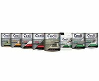Cecil Professional technical paints: high-performance solutions for every construction site