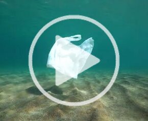 Plages sans déchet plastique : pour des communes littorales éco-exemplaires