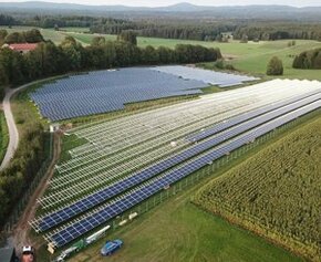 Ferme solaire de Marcoussis: les moutons, alliés naturels de l'énergie verte