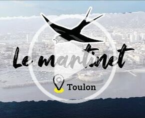 Biodiversité, territoires engagés: la ville de Toulon protège les martinets
