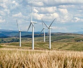 Verdir les éoliennes, enjeu environnemental et sujet politique