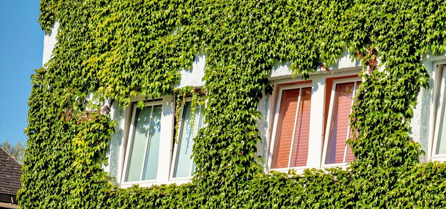 1 Français sur 3 déclare que son logement n’est pas adapté aux fortes chaleurs de l’été