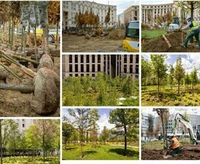 Spie batignolles paysage a réalisé la première forêt urbaine de Paris, Place de...