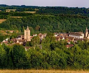 Budget 2025: une baisse drastique pour la transition écologique des territoires?