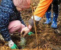 Colas renouvelle son partenariat avec le programme de plantation d’arbres Forest & Life