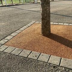 Revêtement drainant pour vos tours d’arbres