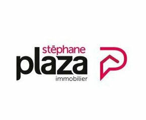 Des agences immobilières Stéphane Plaza entament des démarches pour...