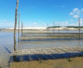 Vers une tolérance ponctuelle des rejets d'eaux usées dans le milieu...