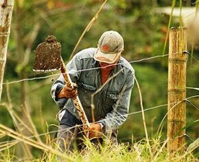A Dijon, la seule ZAD urbaine de France en sursis