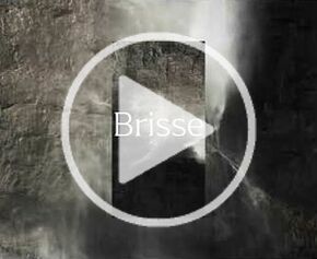 Collection Brisse
