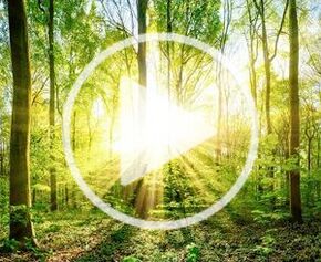 LumiNature by Sylvania - Le véritable éclairage centré sur l'humain