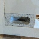 Conduits pour préserver le nid existant naturel dans le bâti