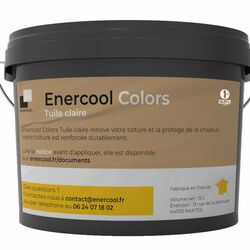 Tinted heat resistant paint
