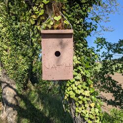 Nichoir en béton de bois biosourcé