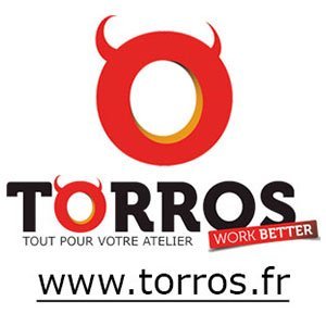 Torros: Logo